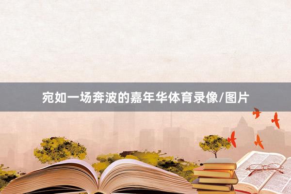 宛如一场奔波的嘉年华体育录像/图片