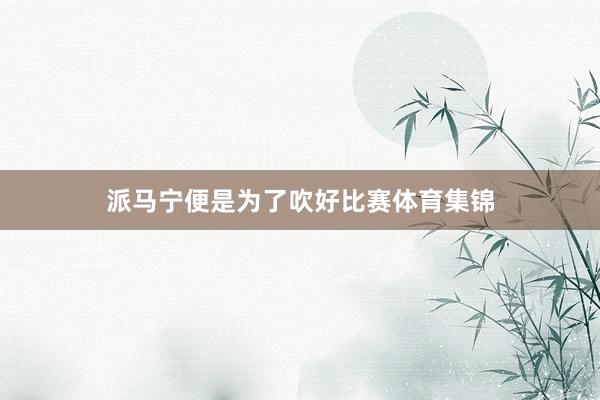 派马宁便是为了吹好比赛体育集锦