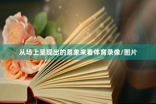 从场上呈现出的景象来看体育录像/图片