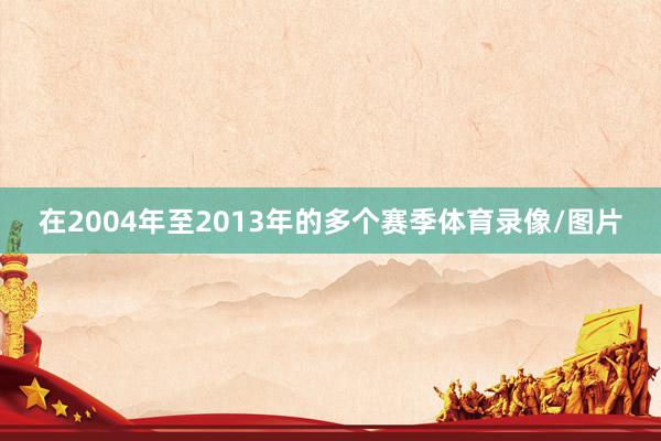 在2004年至2013年的多个赛季体育录像/图片