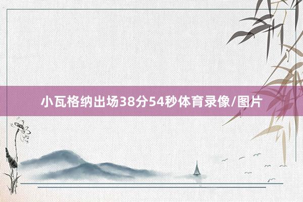 小瓦格纳出场38分54秒体育录像/图片