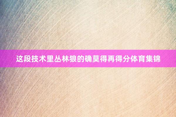 这段技术里丛林狼的确莫得再得分体育集锦