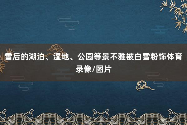 雪后的湖泊、湿地、公园等景不雅被白雪粉饰体育录像/图片