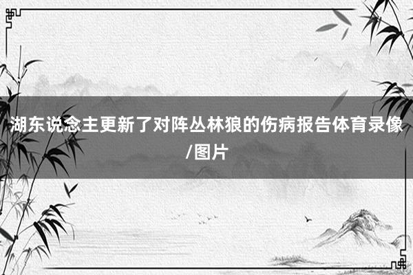 湖东说念主更新了对阵丛林狼的伤病报告体育录像/图片