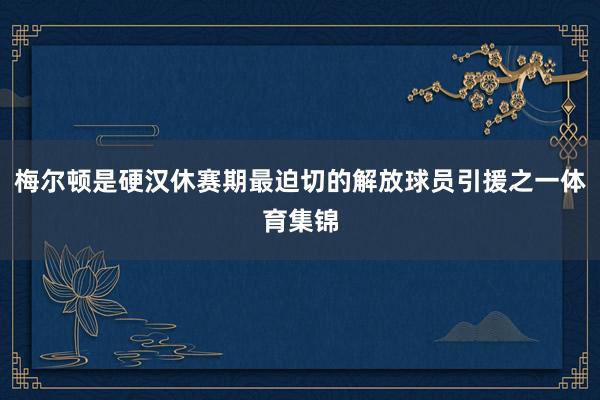 梅尔顿是硬汉休赛期最迫切的解放球员引援之一体育集锦