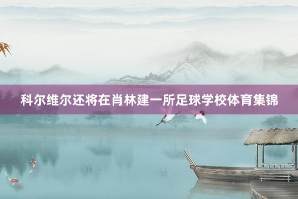 科尔维尔还将在肖林建一所足球学校体育集锦