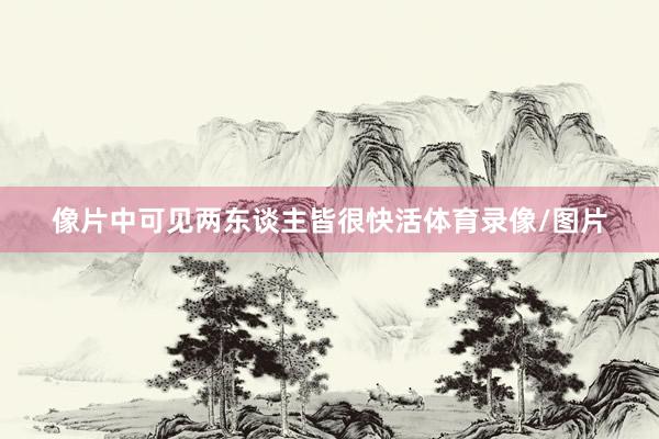 像片中可见两东谈主皆很快活体育录像/图片