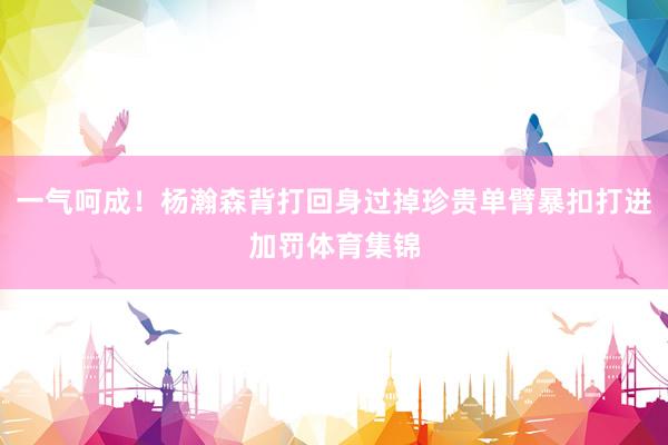 一气呵成！杨瀚森背打回身过掉珍贵单臂暴扣打进加罚体育集锦