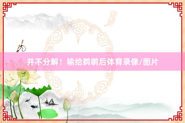 并不分解！输给鹈鹕后体育录像/图片