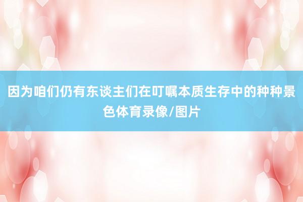 因为咱们仍有东谈主们在叮嘱本质生存中的种种景色体育录像/图片