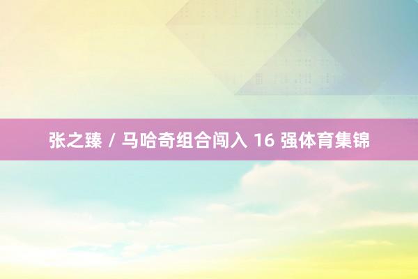 张之臻 / 马哈奇组合闯入 16 强体育集锦