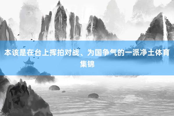 本该是在台上挥拍对战、为国争气的一派净土体育集锦