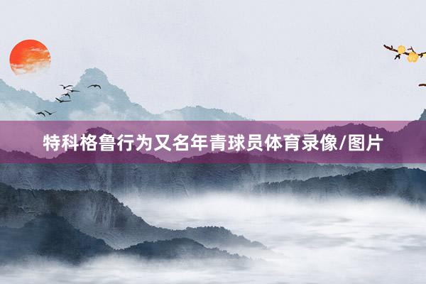 特科格鲁行为又名年青球员体育录像/图片
