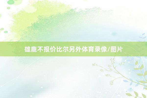 雄鹿不报价比尔另外体育录像/图片