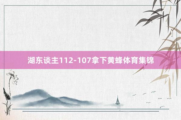 湖东谈主112-107拿下黄蜂体育集锦