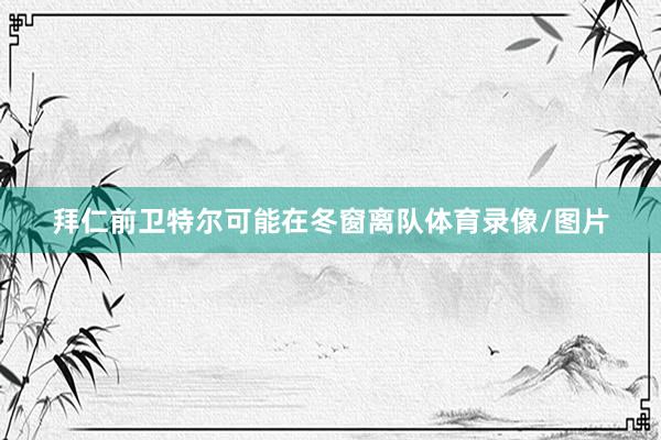 拜仁前卫特尔可能在冬窗离队体育录像/图片