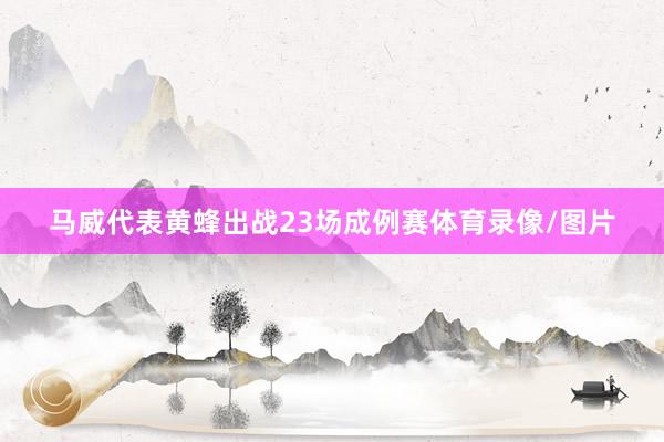 马威代表黄蜂出战23场成例赛体育录像/图片