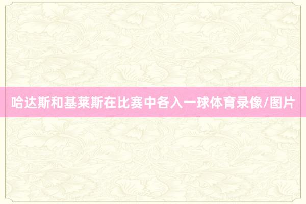 哈达斯和基莱斯在比赛中各入一球体育录像/图片