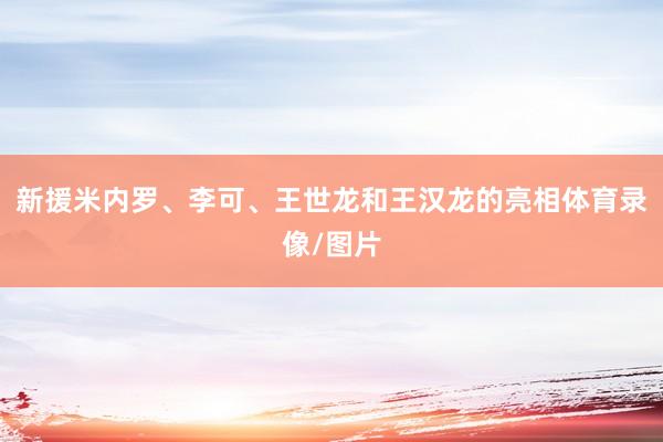 新援米内罗、李可、王世龙和王汉龙的亮相体育录像/图片