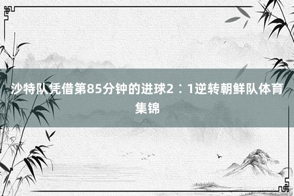 沙特队凭借第85分钟的进球2∶1逆转朝鲜队体育集锦