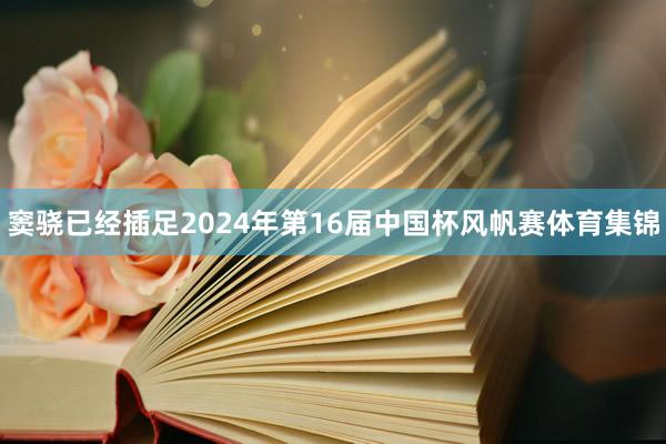 窦骁已经插足2024年第16届中国杯风帆赛体育集锦
