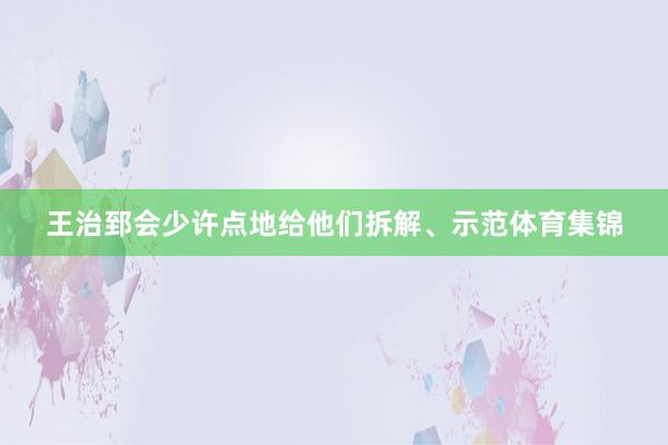 王治郅会少许点地给他们拆解、示范体育集锦
