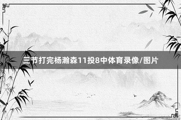 三节打完杨瀚森11投8中体育录像/图片