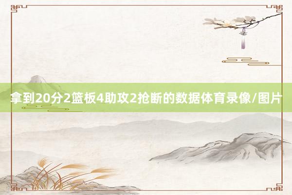 拿到20分2篮板4助攻2抢断的数据体育录像/图片