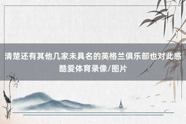 清楚还有其他几家未具名的英格兰俱乐部也对此感酷爱体育录像/图片