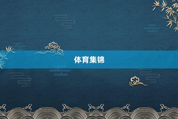体育集锦