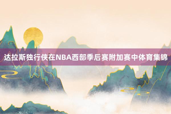 达拉斯独行侠在NBA西部季后赛附加赛中体育集锦
