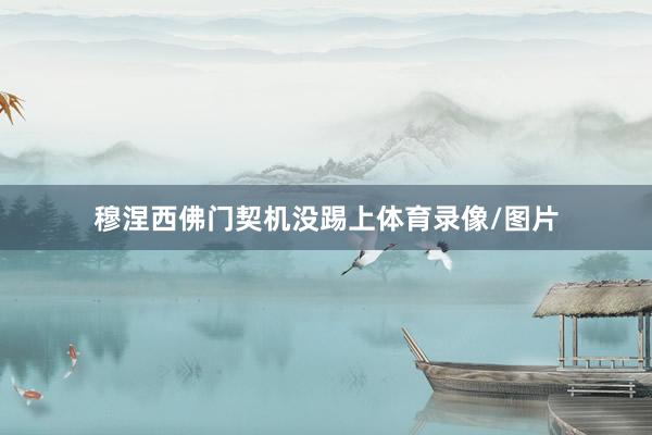 穆涅西佛门契机没踢上体育录像/图片