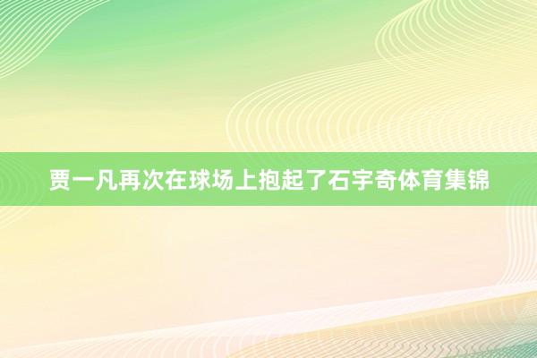 贾一凡再次在球场上抱起了石宇奇体育集锦