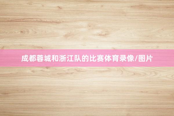 成都蓉城和浙江队的比赛体育录像/图片