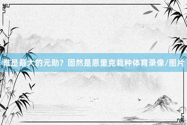 谁是最大的元勋？固然是恩里克栽种体育录像/图片