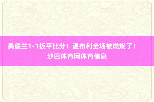 桑德兰1-1扳平比分！温布利全场被燃烧了！    沙巴体育网体育信息