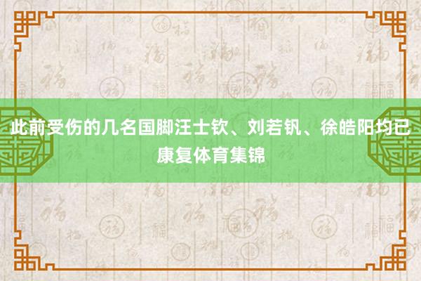 此前受伤的几名国脚汪士钦、刘若钒、徐皓阳均已康复体育集锦
