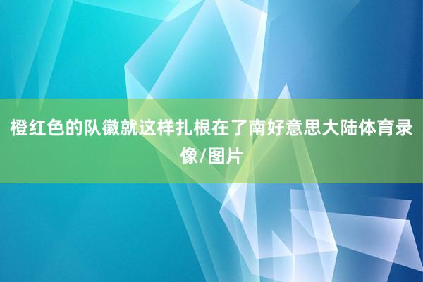 橙红色的队徽就这样扎根在了南好意思大陆体育录像/图片