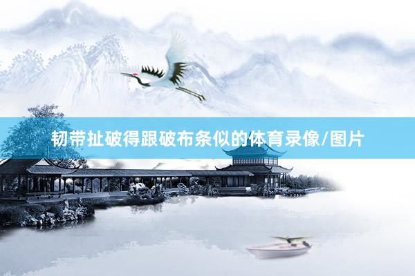 韧带扯破得跟破布条似的体育录像/图片