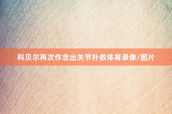 科贝尔再次作念出关节扑救体育录像/图片