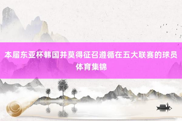 本届东亚杯韩国并莫得征召遵循在五大联赛的球员体育集锦