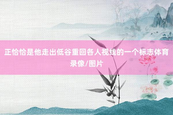 正恰恰是他走出低谷重回各人视线的一个标志体育录像/图片