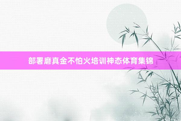 部署磨真金不怕火培训神态体育集锦
