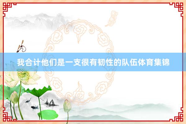 我合计他们是一支很有韧性的队伍体育集锦