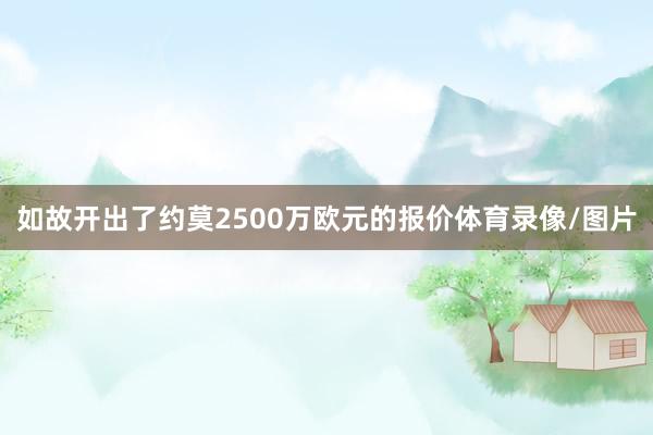 如故开出了约莫2500万欧元的报价体育录像/图片