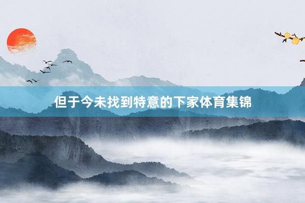 但于今未找到特意的下家体育集锦
