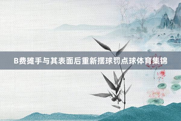 B费摊手与其表面后重新摆球罚点球体育集锦