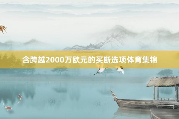 含跨越2000万欧元的买断选项体育集锦