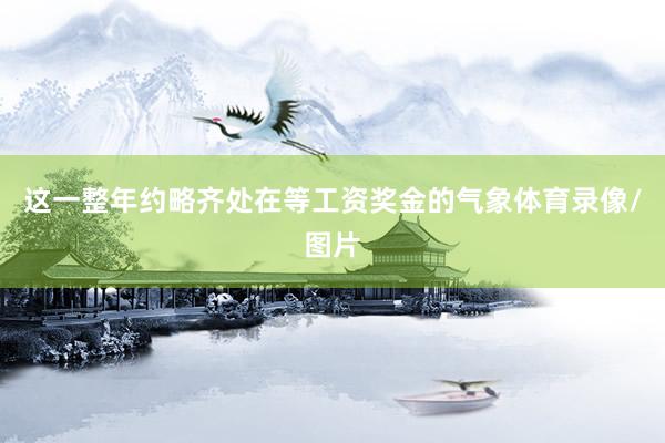 这一整年约略齐处在等工资奖金的气象体育录像/图片