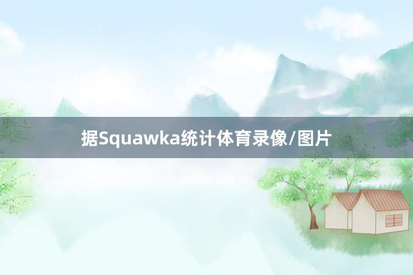 据Squawka统计体育录像/图片